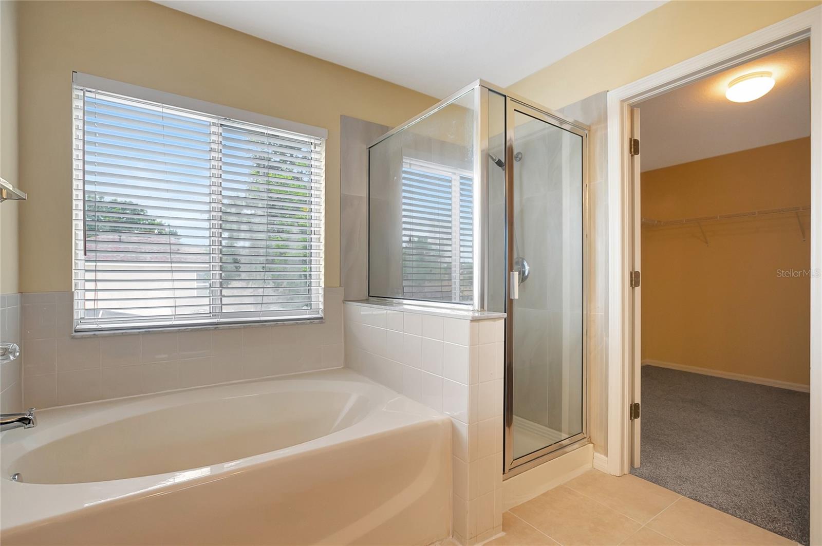 6767 WATERTON DR, RIVERVIEW, FL — photo 31