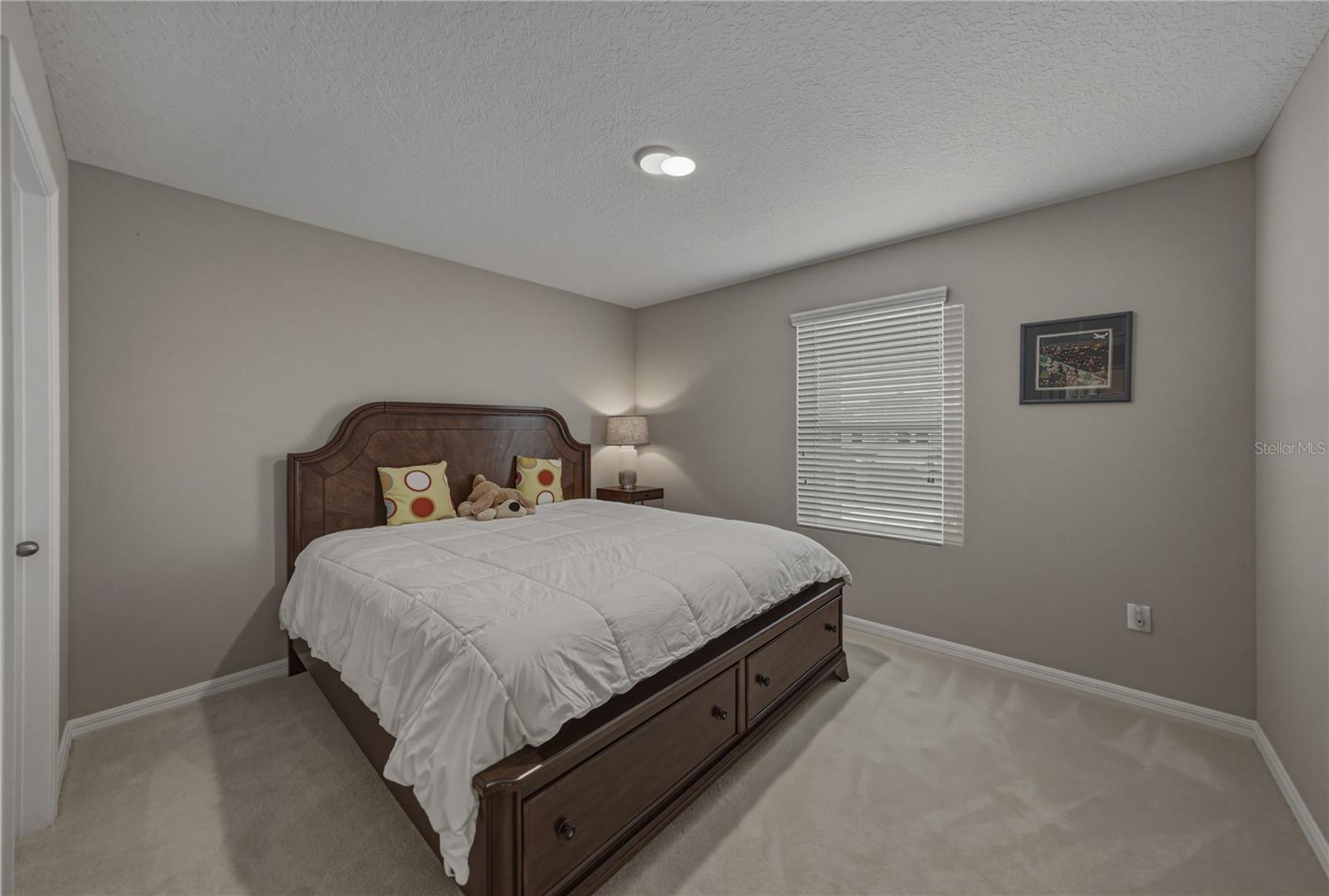 12756 TANNENCREST DR, RIVERVIEW, FL — photo 21