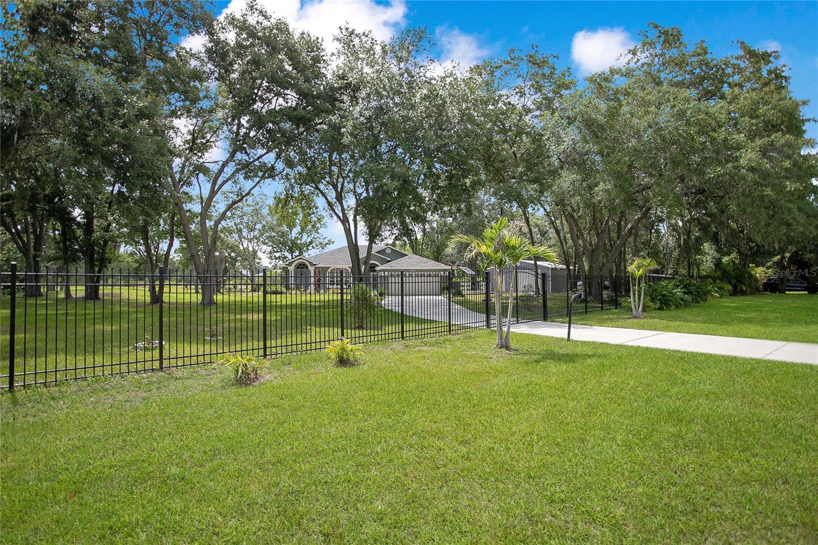 19616 LIVINGSTON AVE, LUTZ, FL