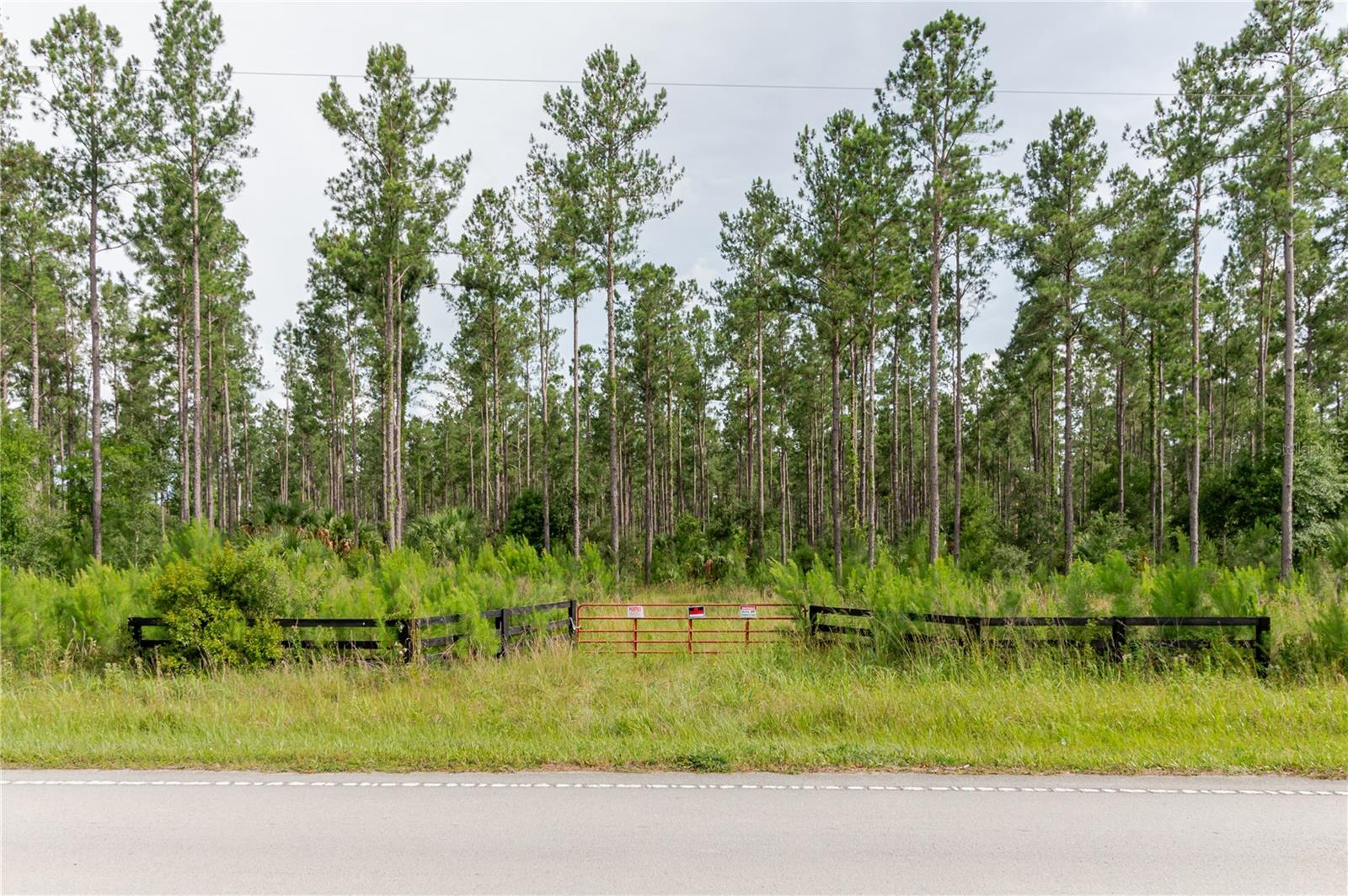 NE 90TH STREET RD, FORT MC COY, FL — photo 14