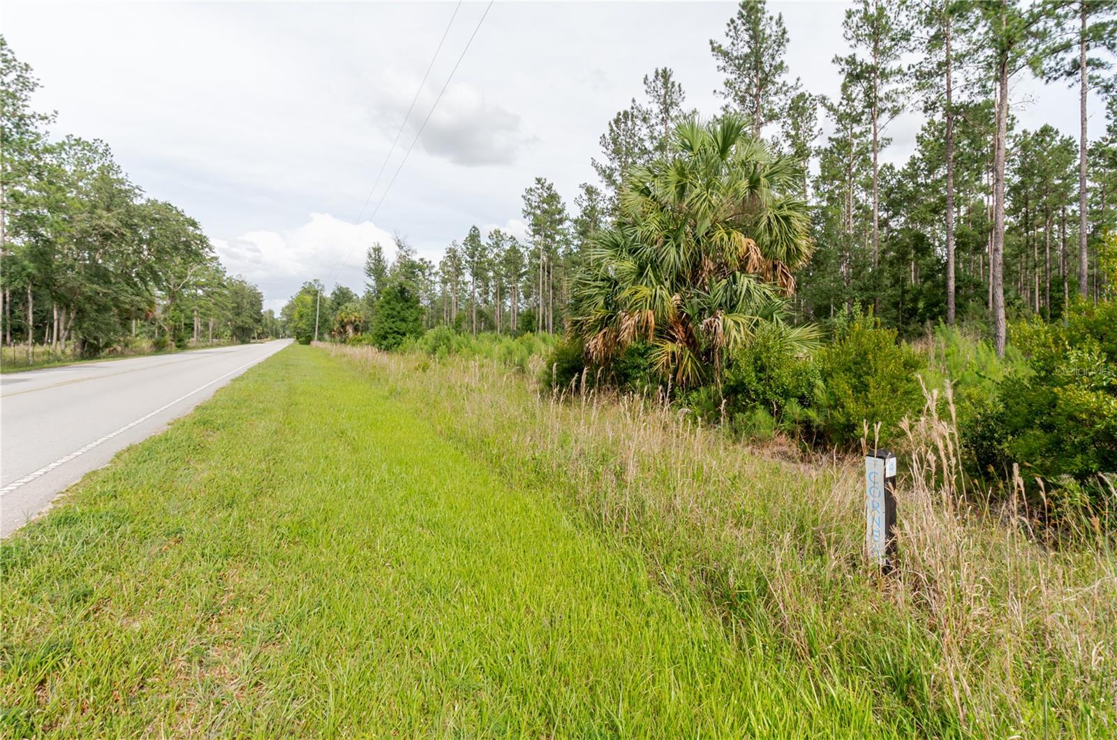 NE 90TH STREET RD, FORT MC COY, FL — photo 16