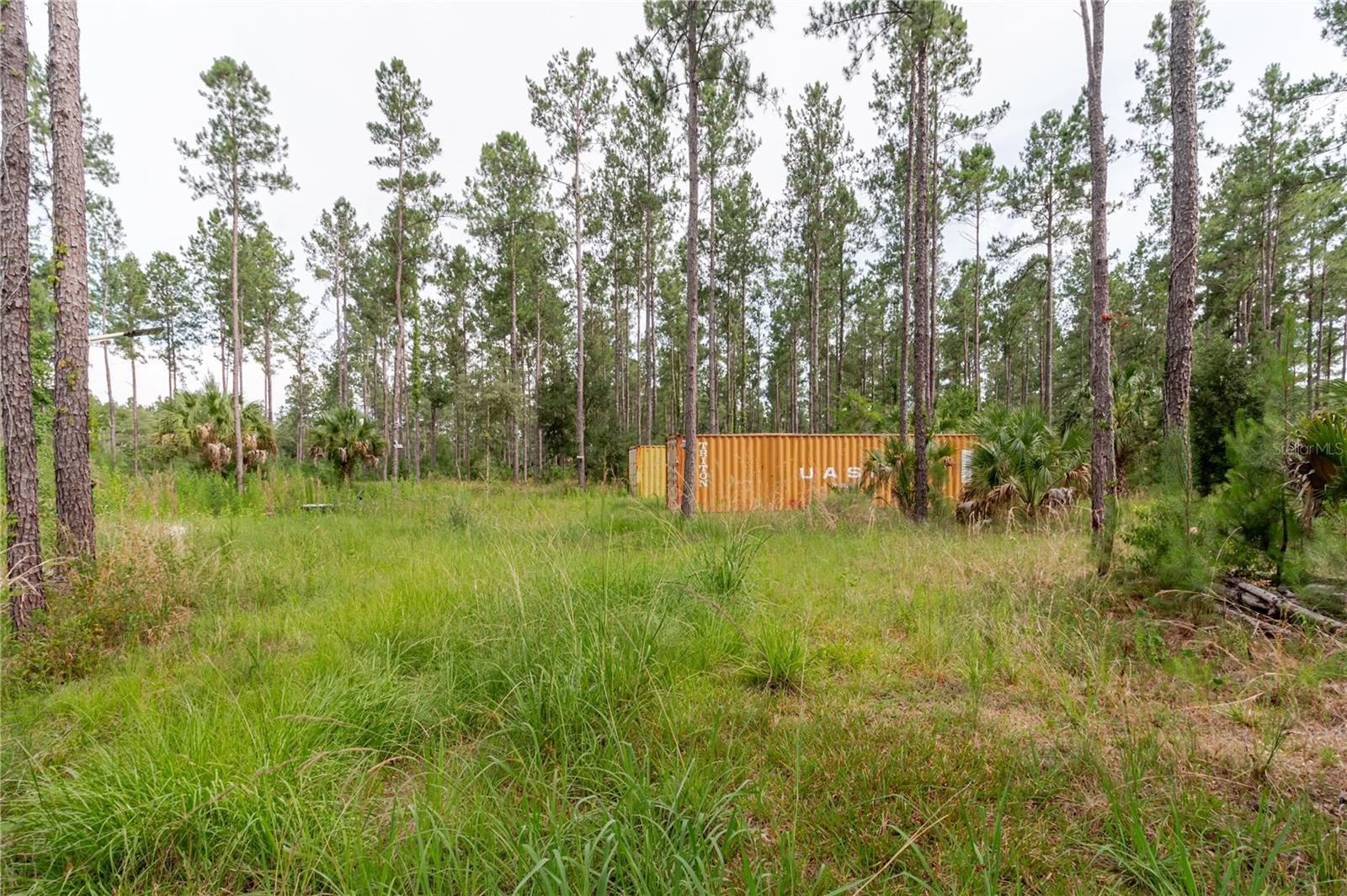 NE 90TH STREET RD, FORT MC COY, FL — photo 18