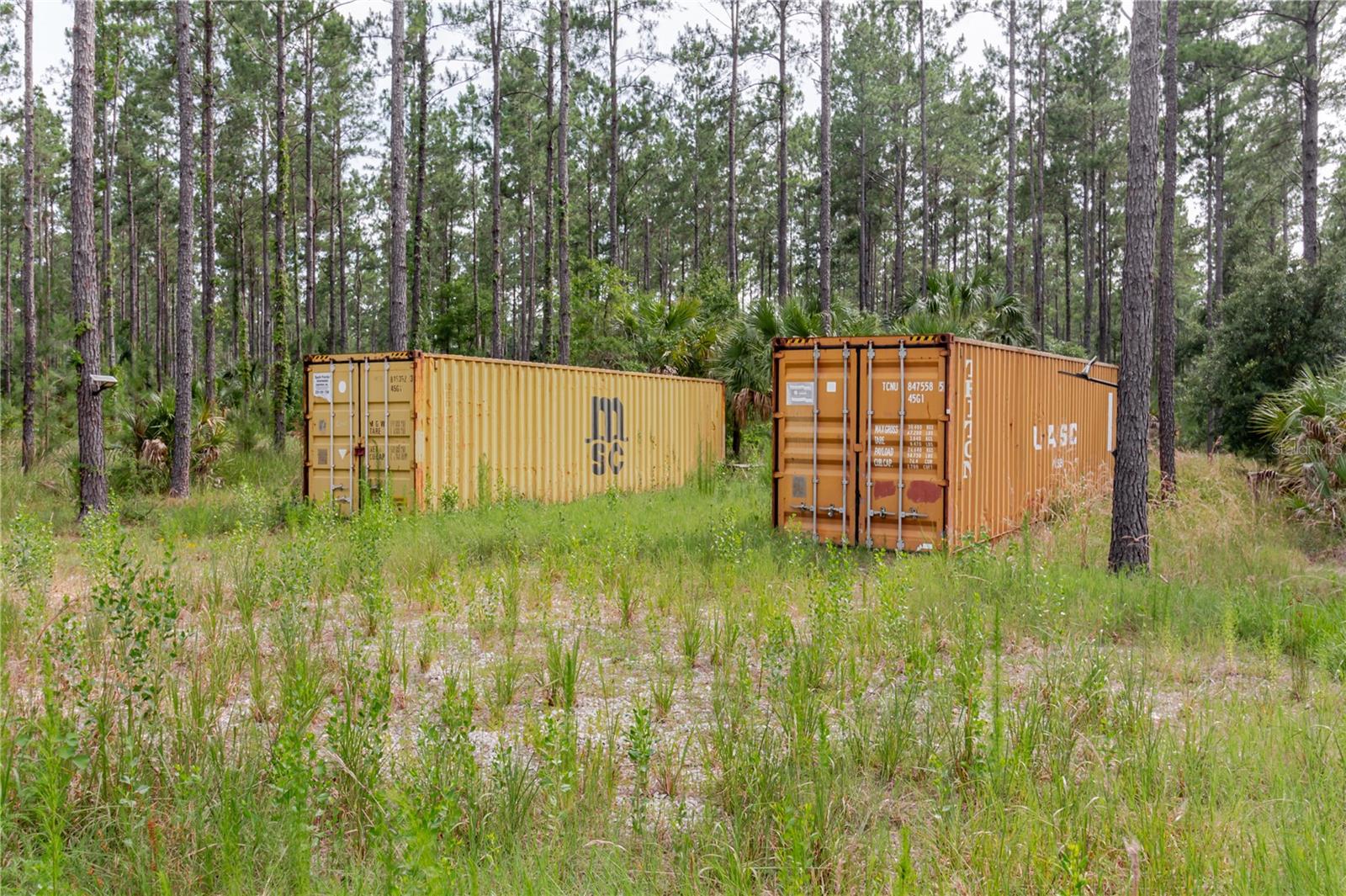 NE 90TH STREET RD, FORT MC COY, FL — photo 19