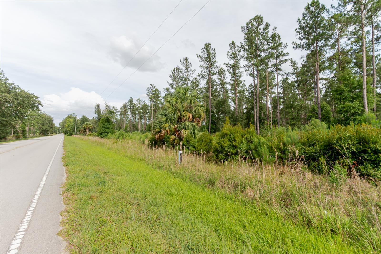 NE 90TH STREET RD, FORT MC COY, FL — photo 25