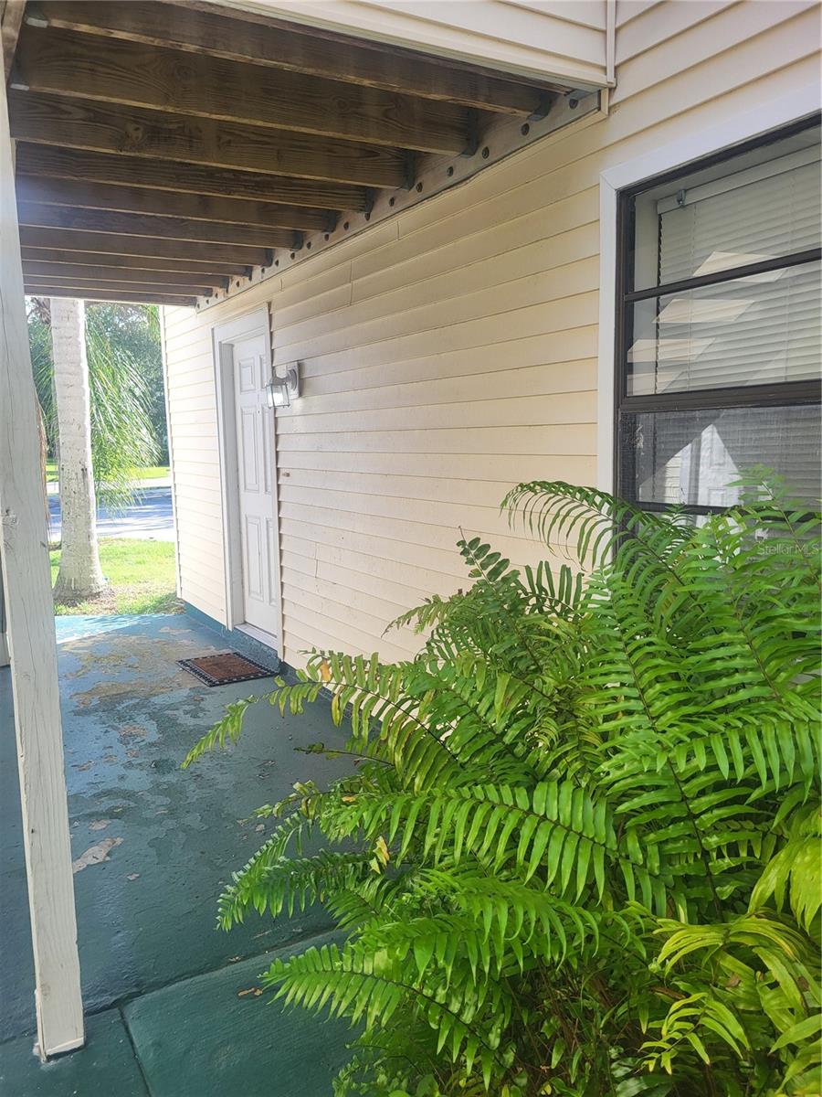 140 HUNTER LAKE DR #F, OLDSMAR, FL — photo 4