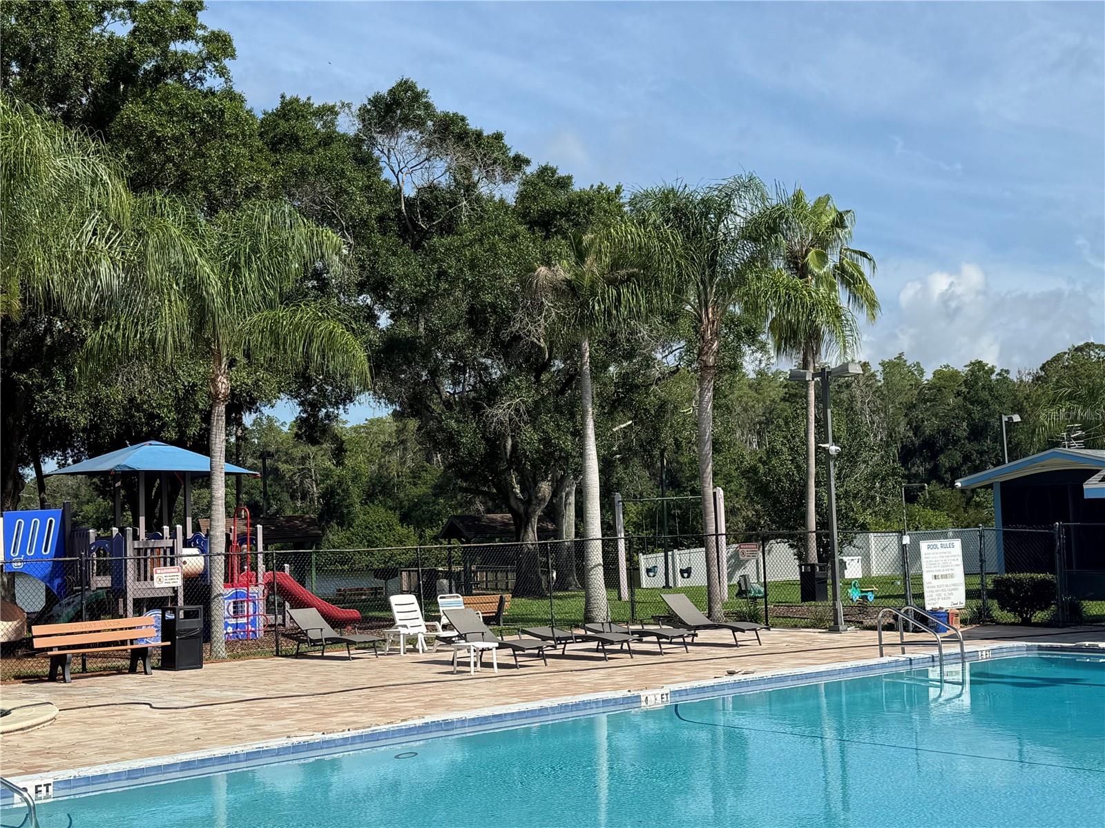 140 HUNTER LAKE DR #F, OLDSMAR, FL — photo 32