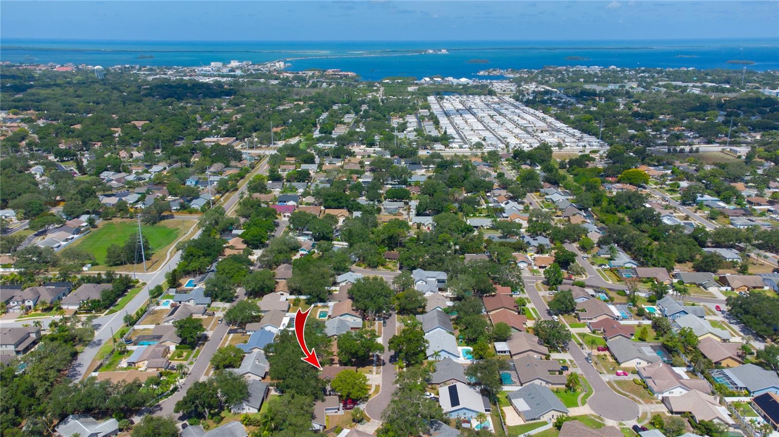 1564 COLONY CT, PALM HARBOR, FL — photo 2