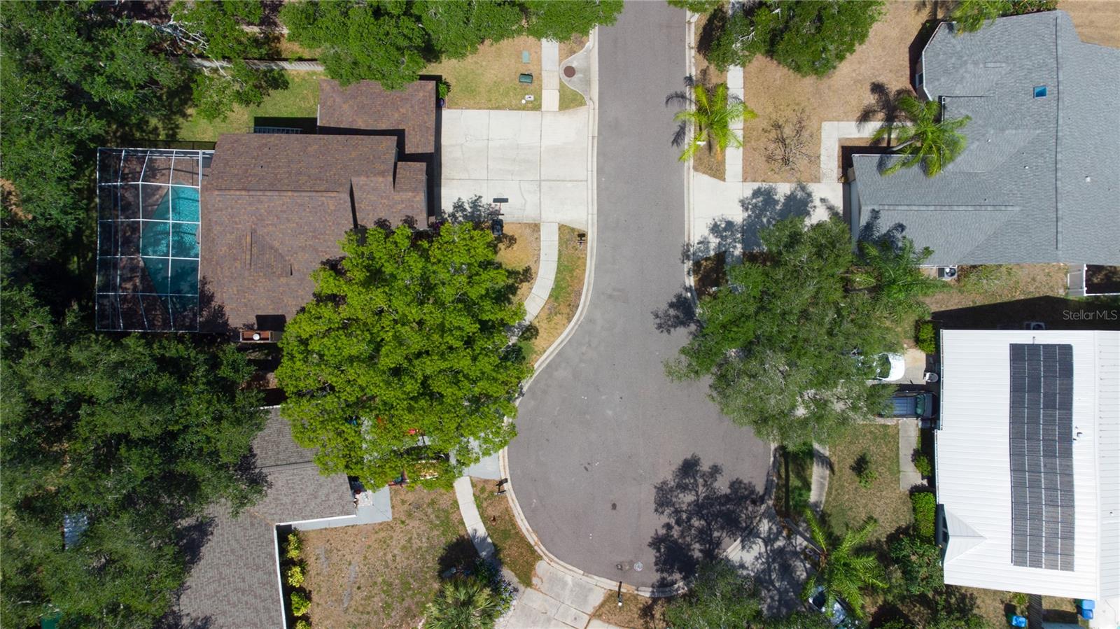 1564 COLONY CT, PALM HARBOR, FL — photo 32