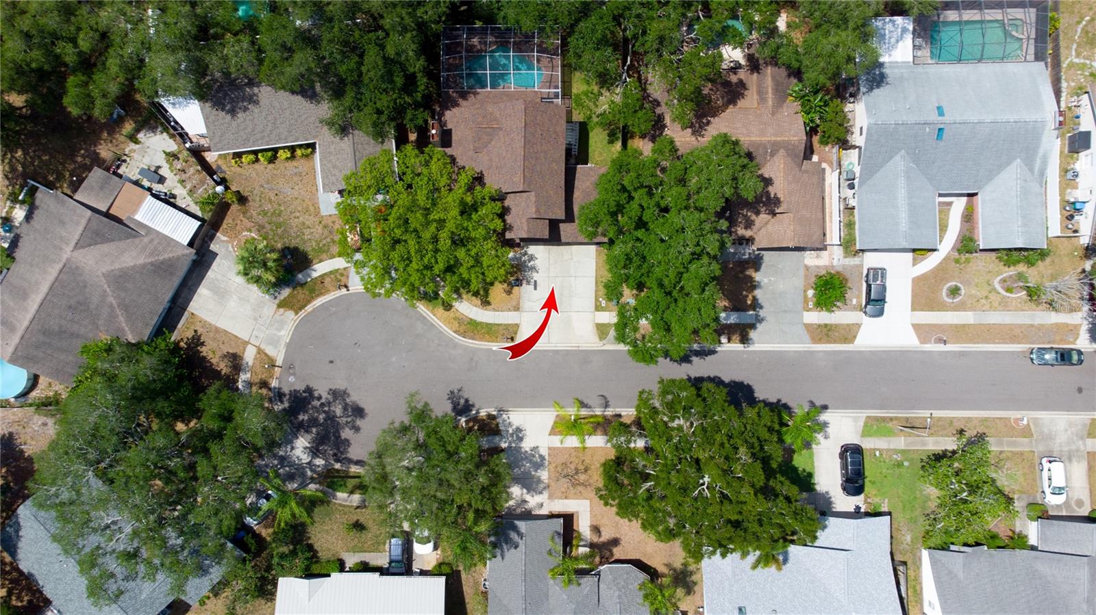 1564 COLONY CT, PALM HARBOR, FL — photo 33