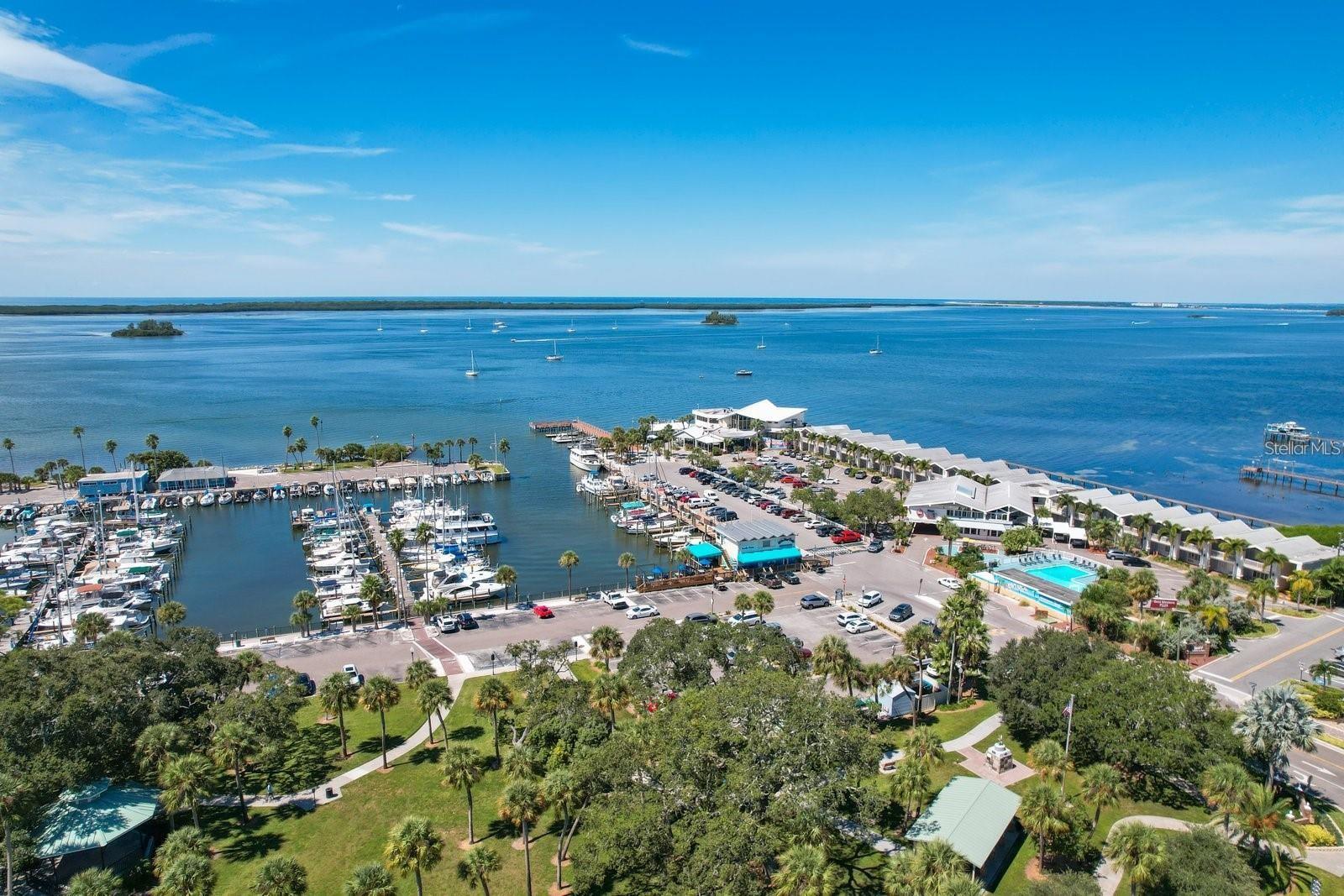 1564 COLONY CT, PALM HARBOR, FL — photo 53