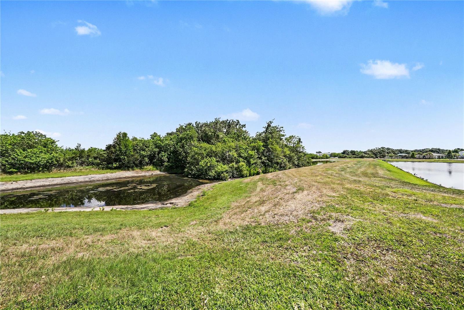 11453 STONE PINE ST, RIVERVIEW, FL — photo 29