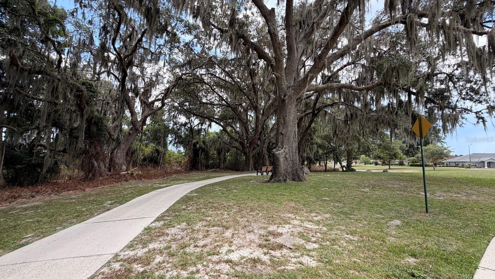 3671 E ARBOR LAKES DR, HERNANDO, FL — photo 34