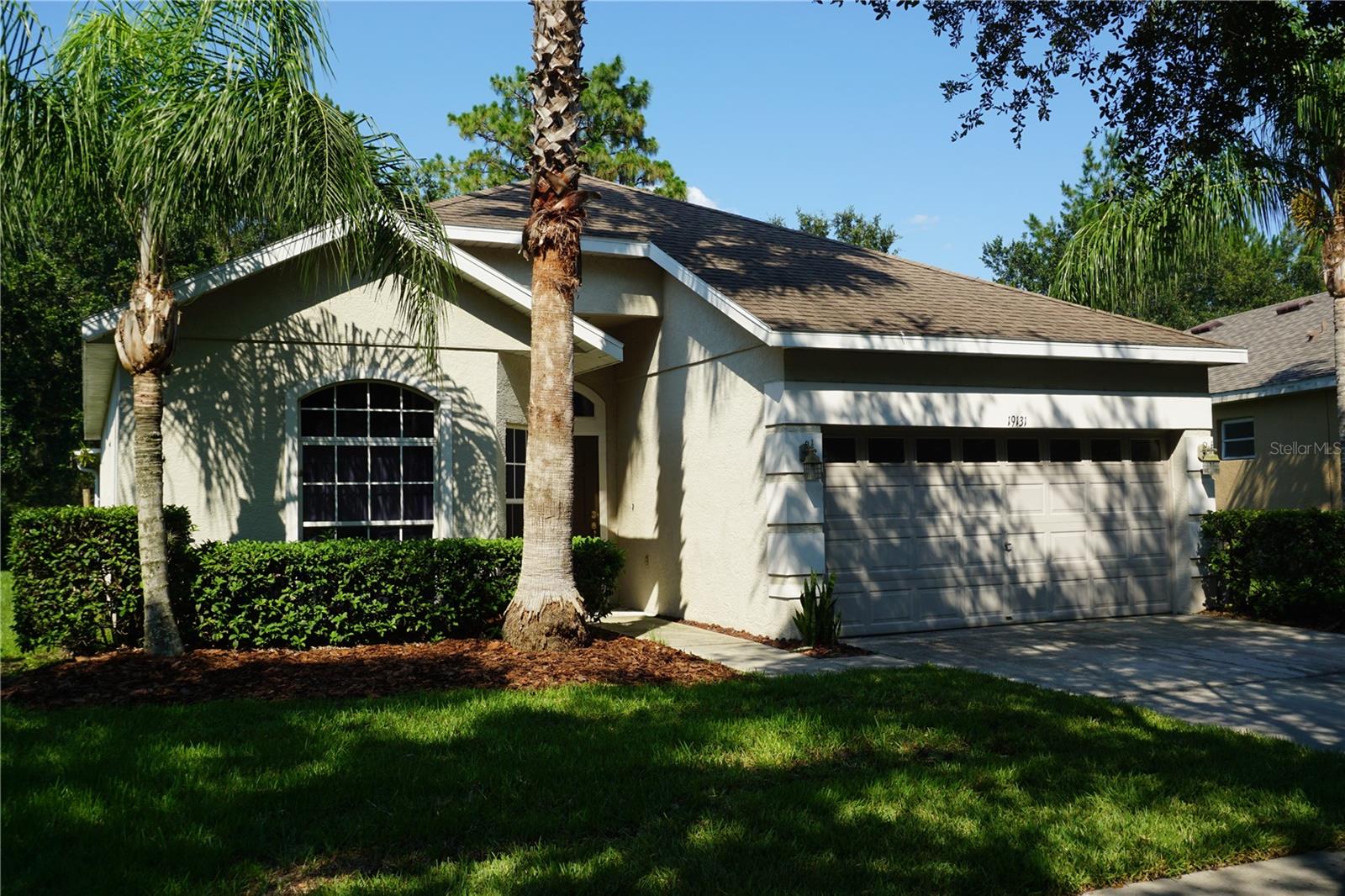 19131 CYPRESS REACH LN, TAMPA, FL — photo 3