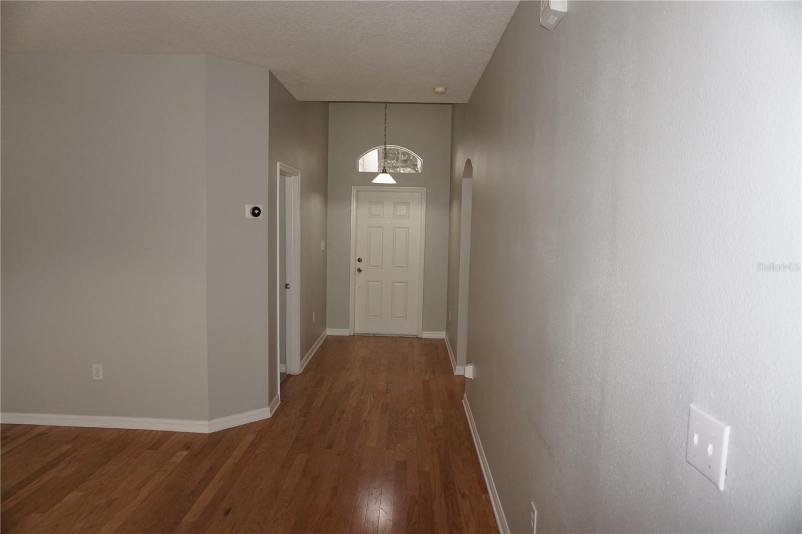 19131 CYPRESS REACH LN, TAMPA, FL — photo 4