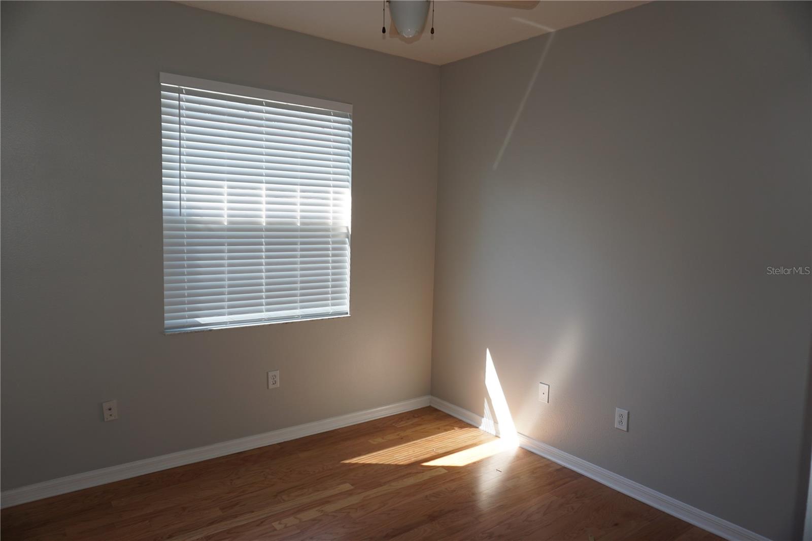 19131 CYPRESS REACH LN, TAMPA, FL — photo 10