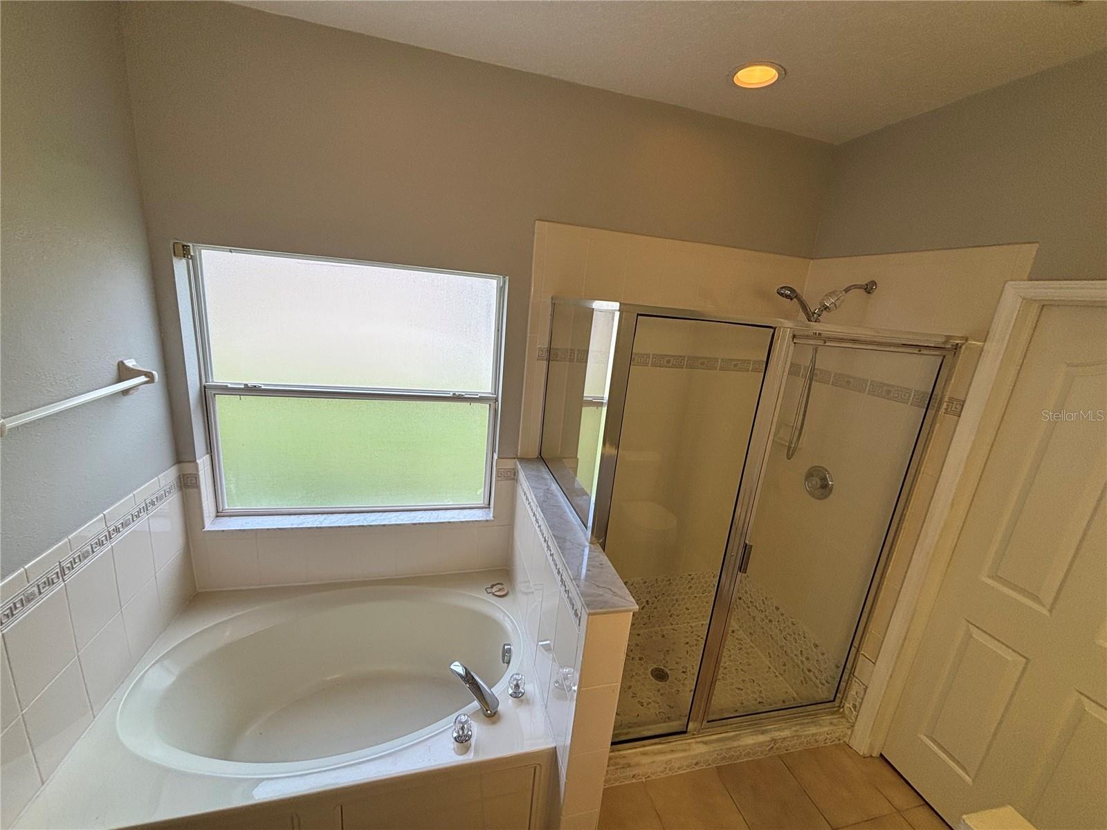 19131 CYPRESS REACH LN, TAMPA, FL — photo 33