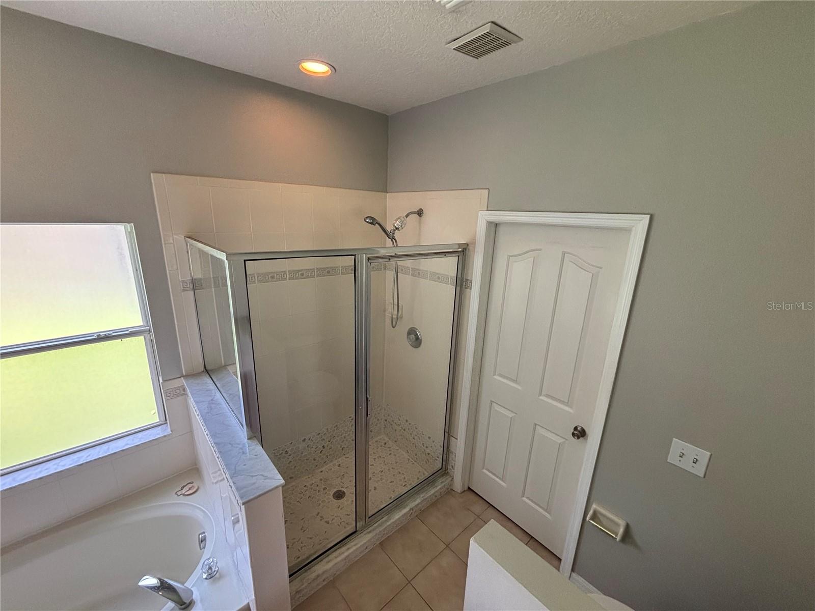 19131 CYPRESS REACH LN, TAMPA, FL — photo 34