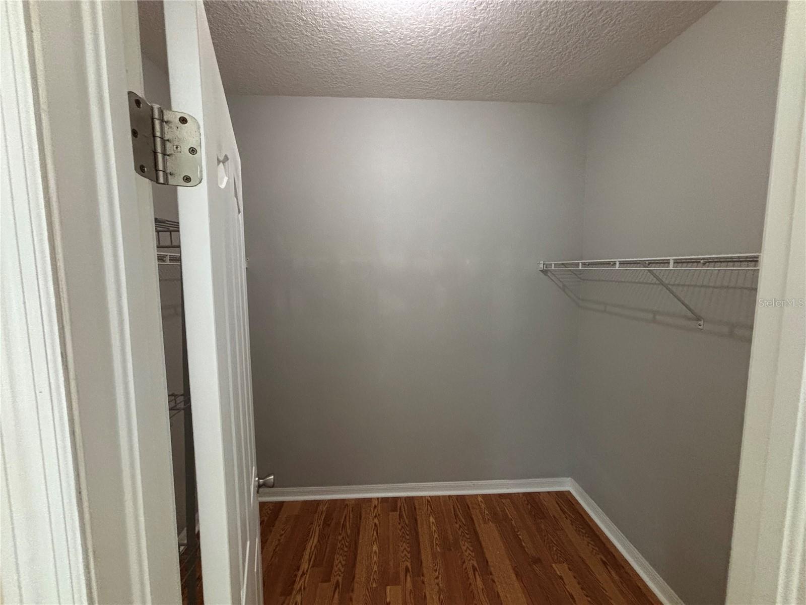 19131 CYPRESS REACH LN, TAMPA, FL — photo 36