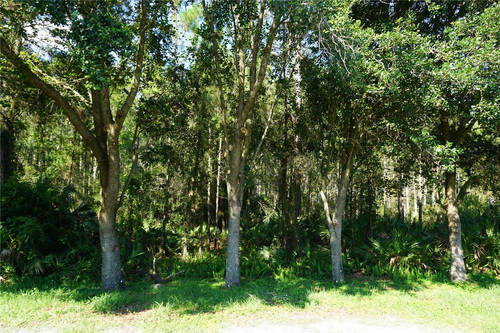 19131 CYPRESS REACH LN, TAMPA, FL — photo 49