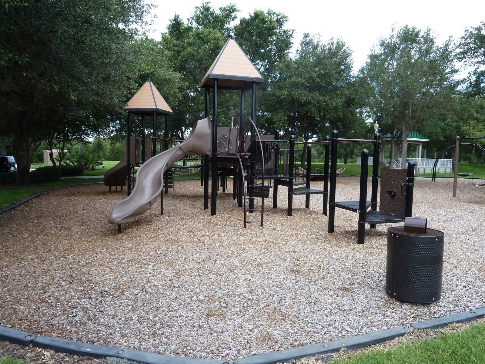19131 CYPRESS REACH LN, TAMPA, FL — photo 59