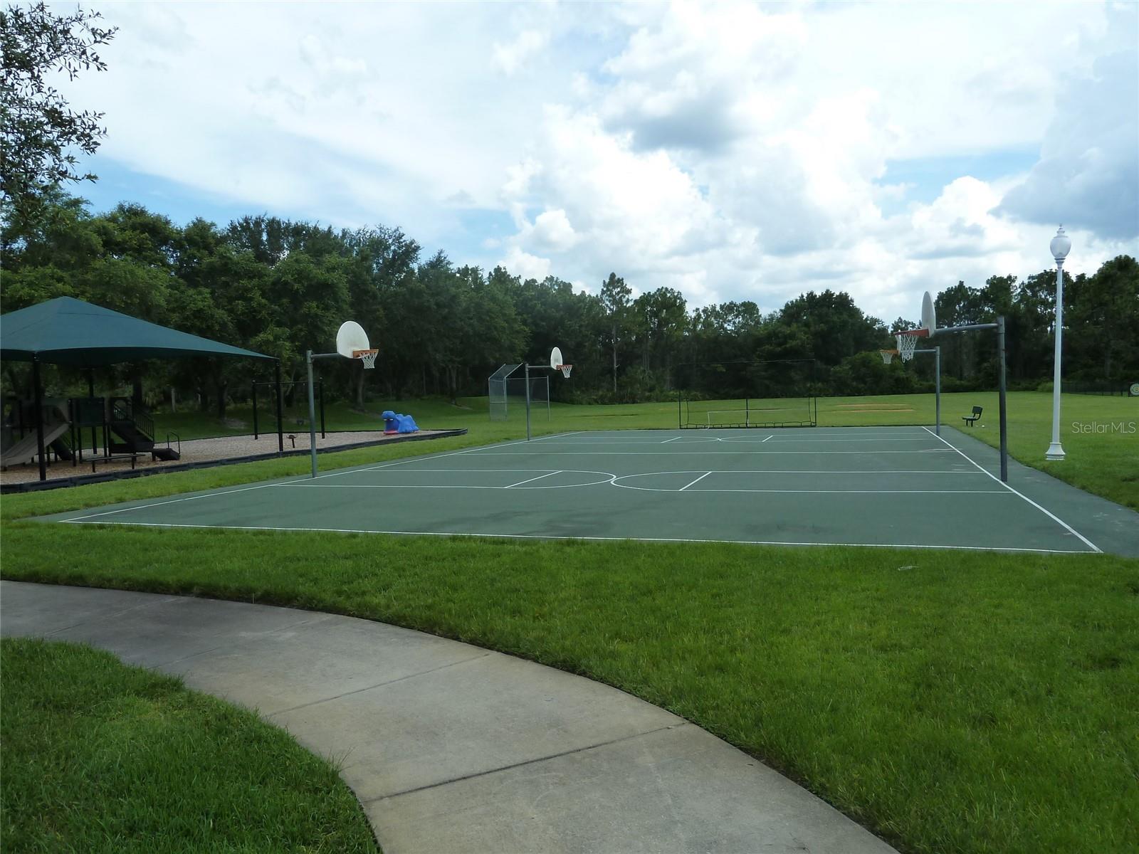 19131 CYPRESS REACH LN, TAMPA, FL — photo 60
