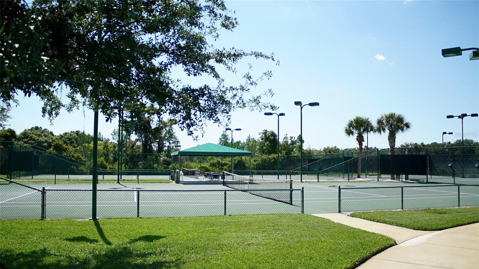 19131 CYPRESS REACH LN, TAMPA, FL — photo 62