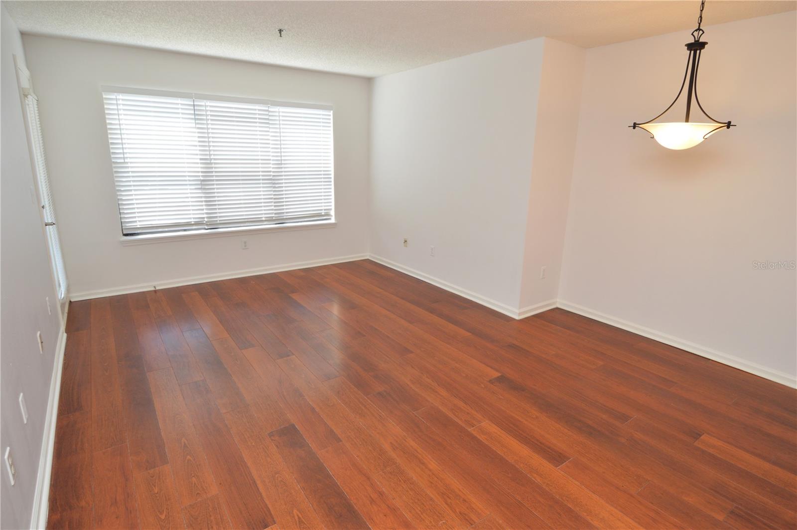 11901 4TH ST N #7204, ST PETERSBURG, FL — photo 13