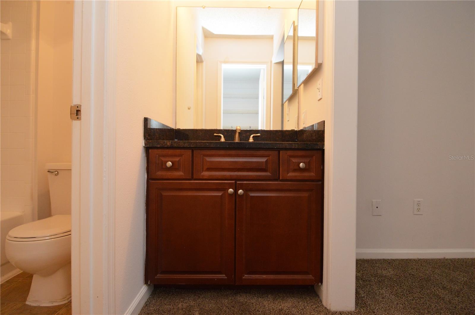11901 4TH ST N #7204, ST PETERSBURG, FL — photo 26