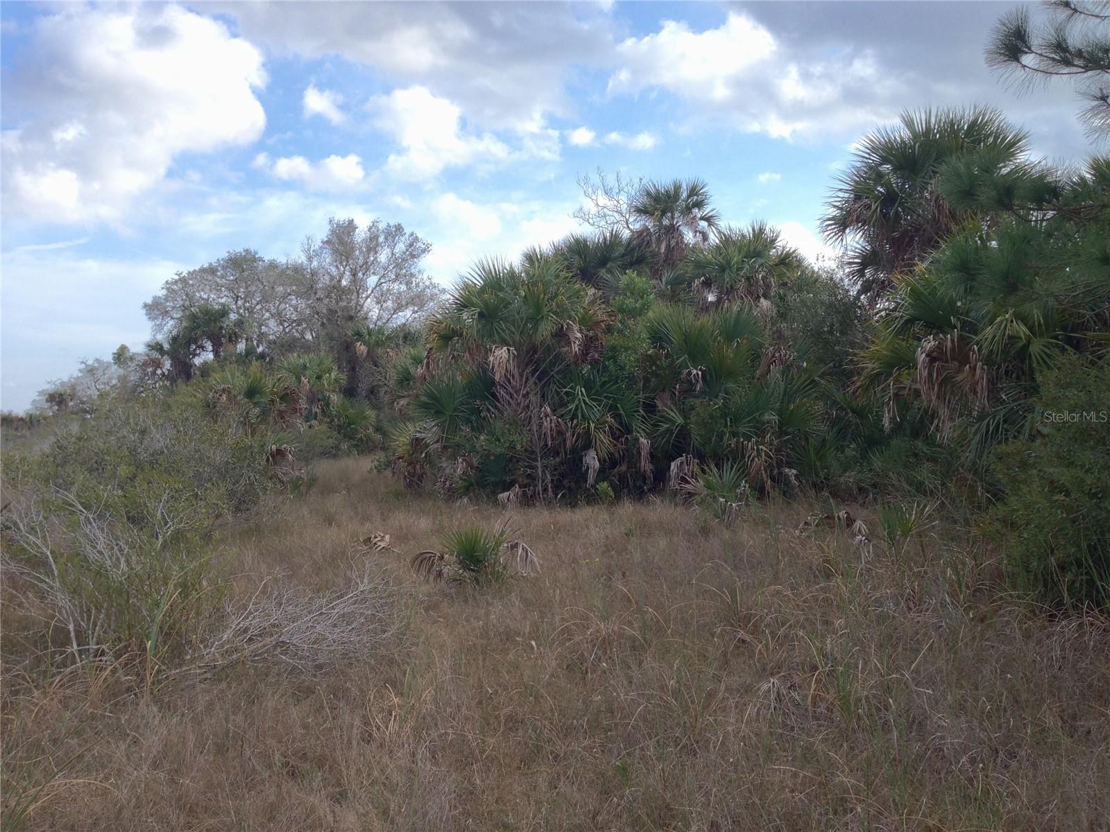 50670 BERMONT RD, PUNTA GORDA, FL