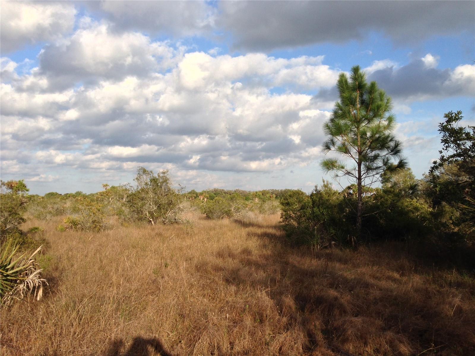 50670 BERMONT RD, PUNTA GORDA, FL — photo 10