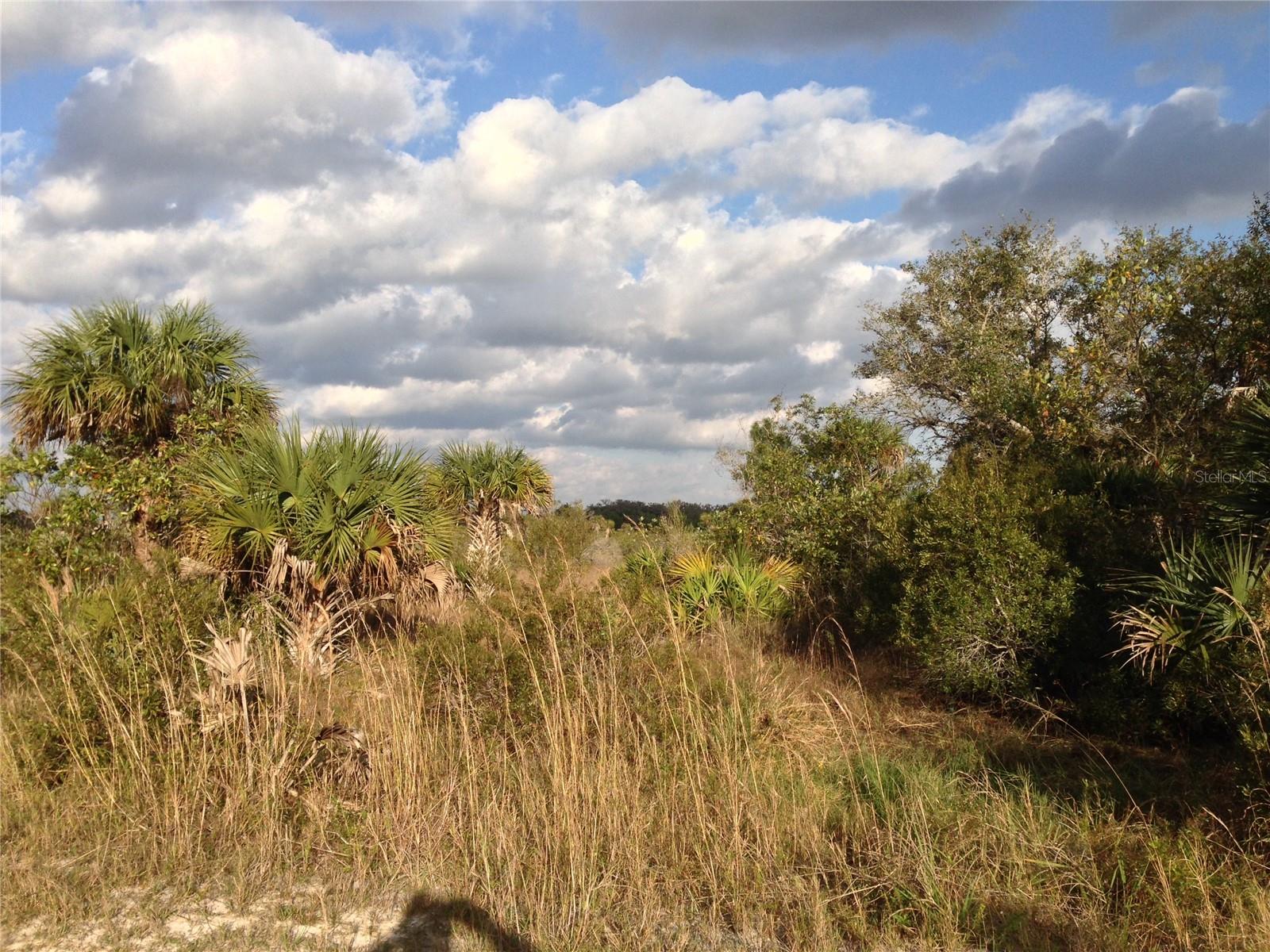 50670 BERMONT RD, PUNTA GORDA, FL — photo 12