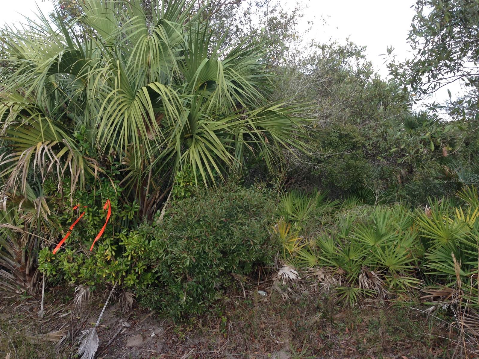 50670 BERMONT RD, PUNTA GORDA, FL — photo 13
