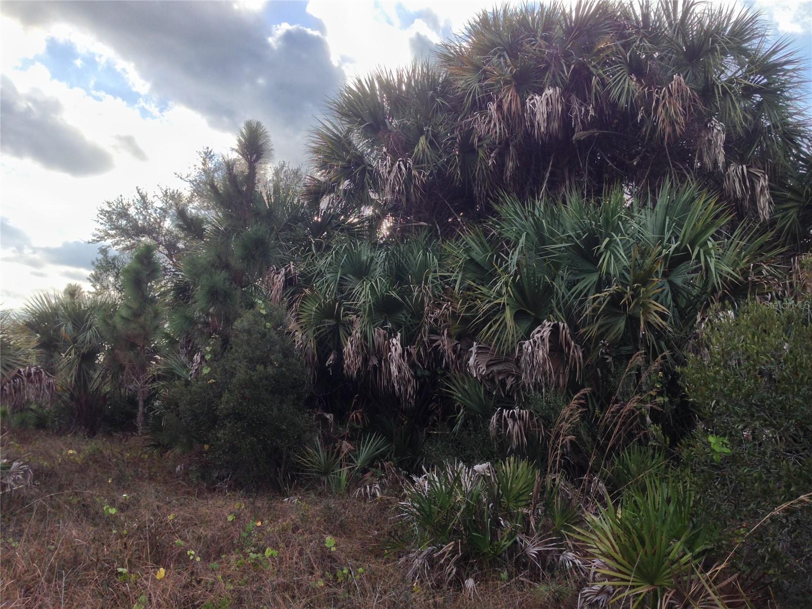 50670 BERMONT RD, PUNTA GORDA, FL — photo 14