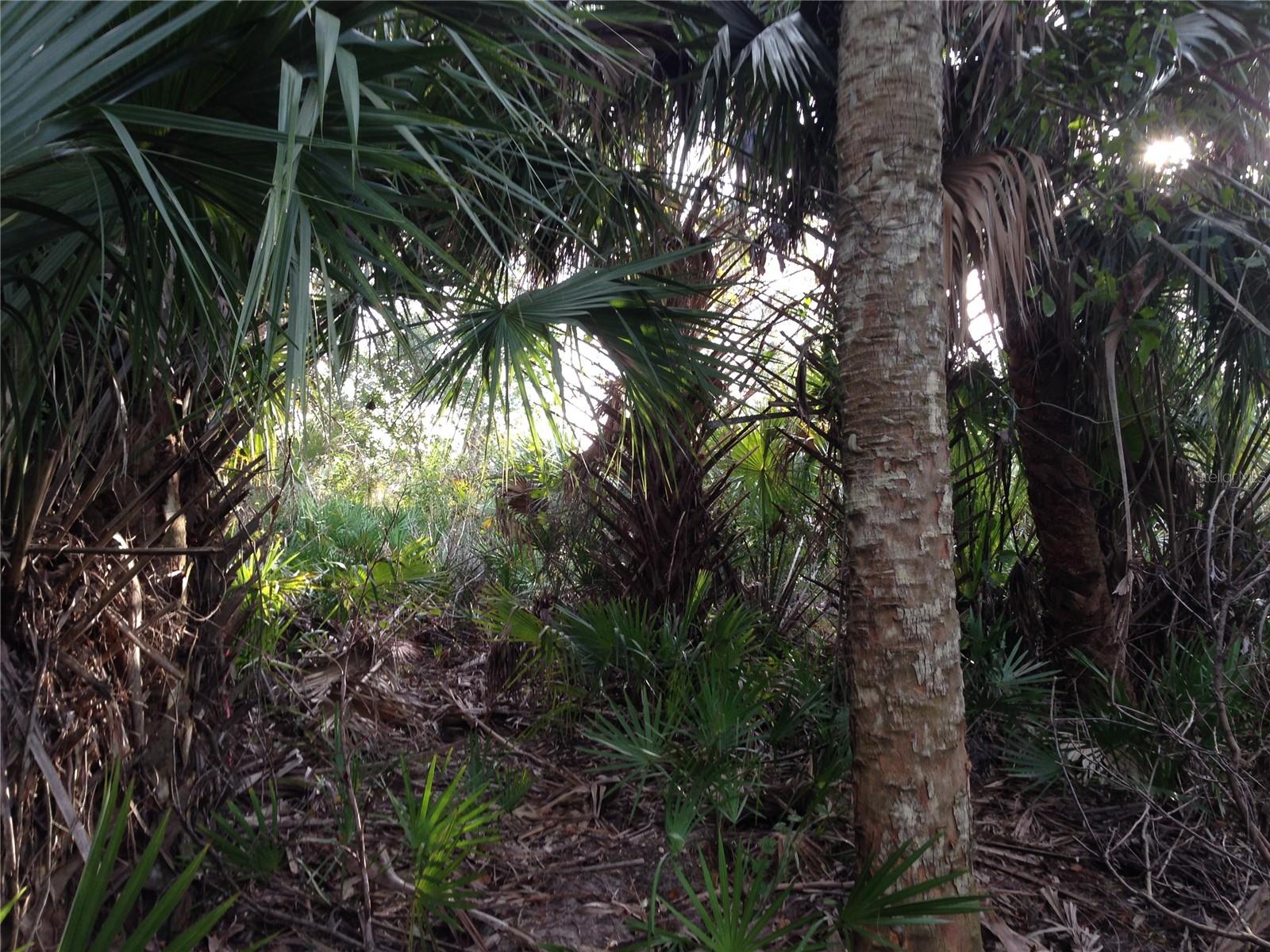 50670 BERMONT RD, PUNTA GORDA, FL — photo 16