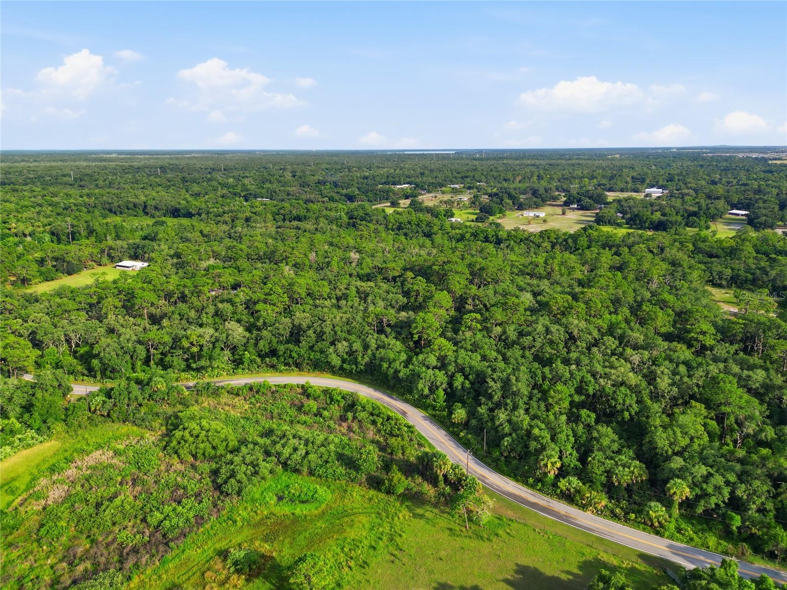 HORSESHOE CREEK RD, DAVENPORT, FL — photo 5