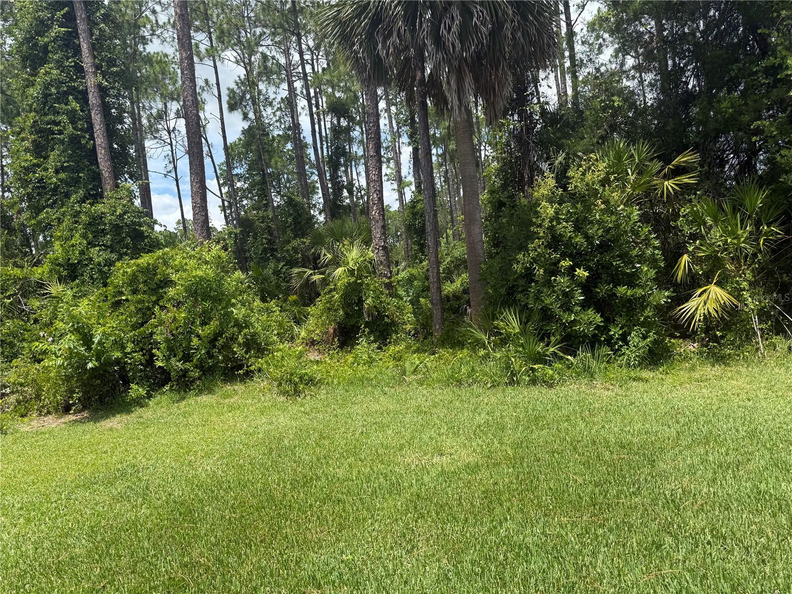 18 POINBURY DR, PALM COAST, FL — photo 20