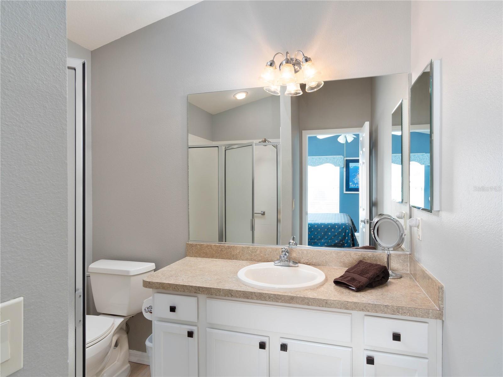 2453 VIOLET CT, THE VILLAGES, FL — photo 11