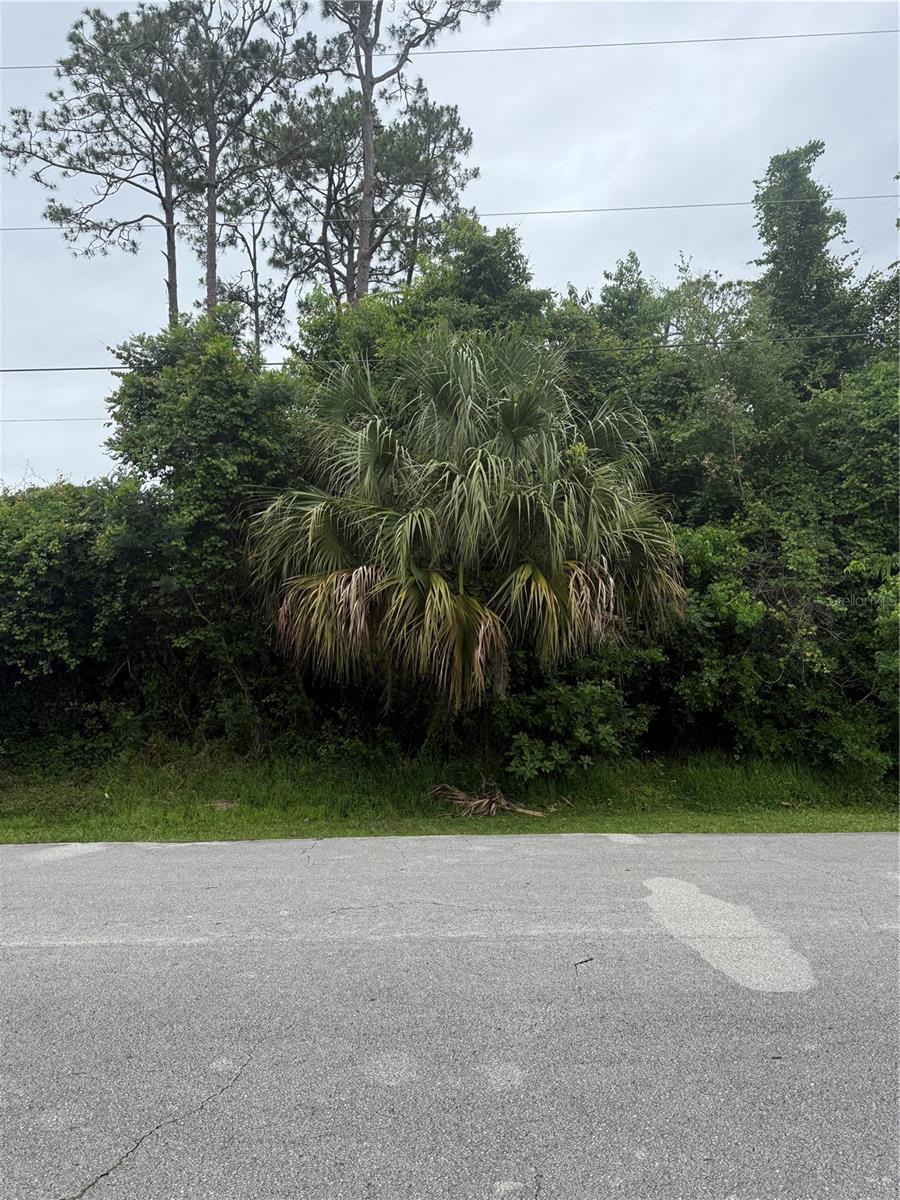 38 SQUASH BLOSSOM TRL, PALM COAST, FL