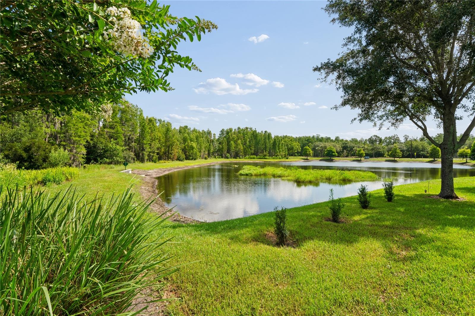 21627 PEARL CRESCENT CT, LAND O LAKES, FL — photo 75