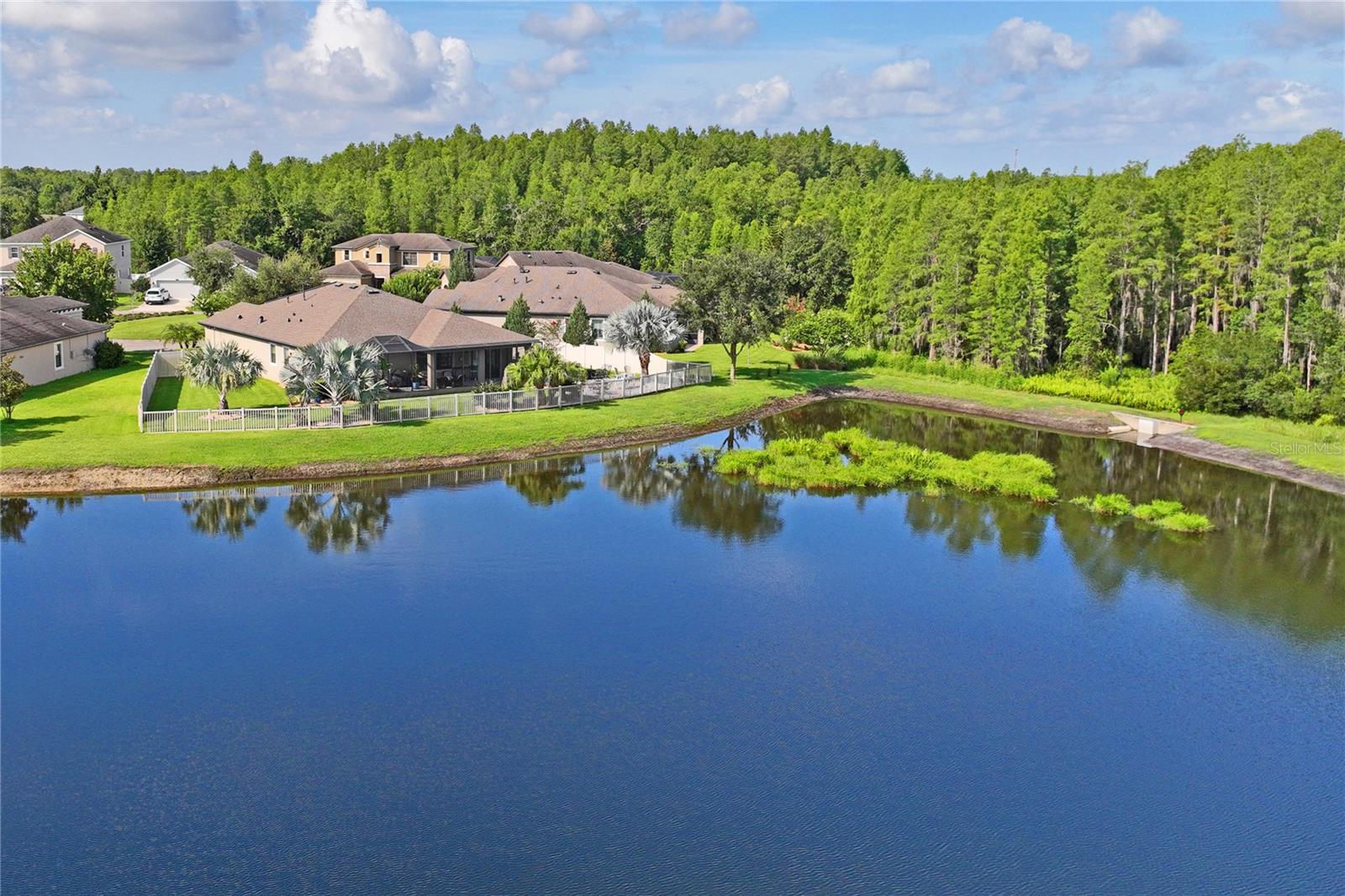 21627 PEARL CRESCENT CT, LAND O LAKES, FL — photo 76