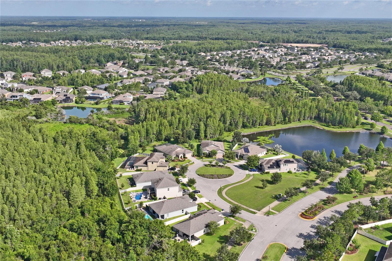 21627 PEARL CRESCENT CT, LAND O LAKES, FL — photo 87