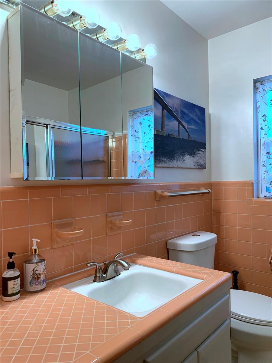 1750 DRUID RD E, CLEARWATER, FL — photo 30