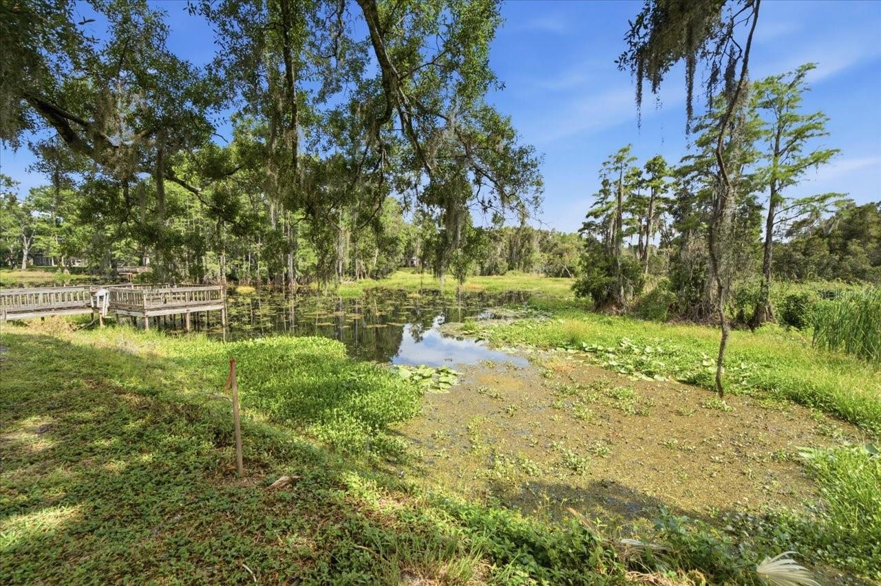 WOODS END CT, TAMPA, FL — photo 12