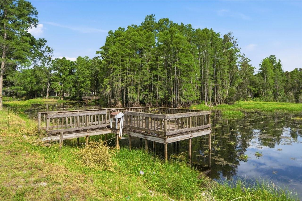 WOODS END CT, TAMPA, FL — photo 13