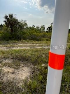 50530 BERMONT RD, PUNTA GORDA, FL — photo 7