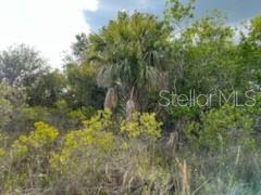 50530 BERMONT RD, PUNTA GORDA, FL — photo 9