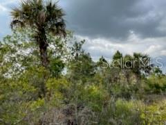 50530 BERMONT RD, PUNTA GORDA, FL — photo 11
