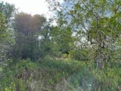 50530 BERMONT RD, PUNTA GORDA, FL — photo 12
