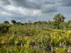 50530 BERMONT RD, PUNTA GORDA, FL — photo 14
