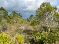 50530 BERMONT RD, PUNTA GORDA, FL — photo 15